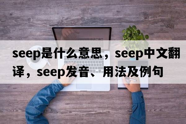 seep是什么意思，seep中文翻譯，seep發(fā)音、用法及例句