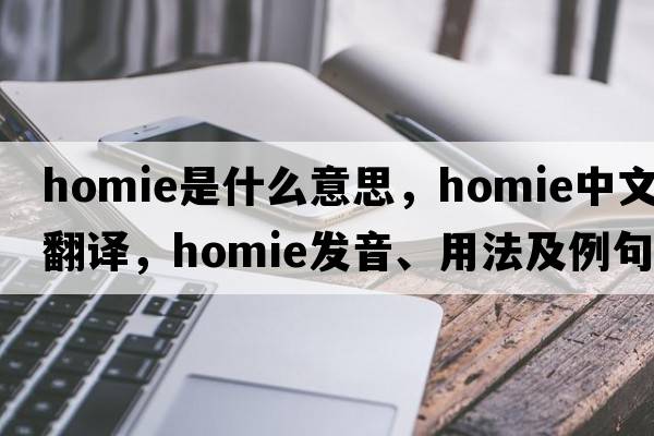 homie是什么意思，homie中文翻譯，homie發(fā)音、用法及例句