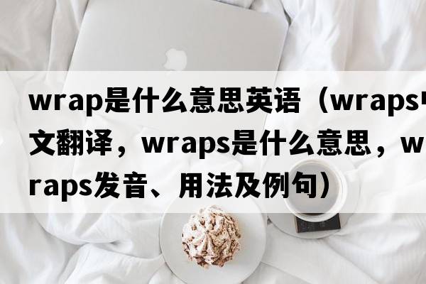 wrap是什么意思英語(yǔ)（wraps中文翻譯，wraps是什么意思，wraps發(fā)音、用法及例句）
