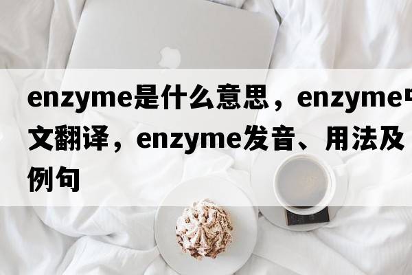 enzyme是什么意思，enzyme中文翻譯，enzyme發(fā)音、用法及例句