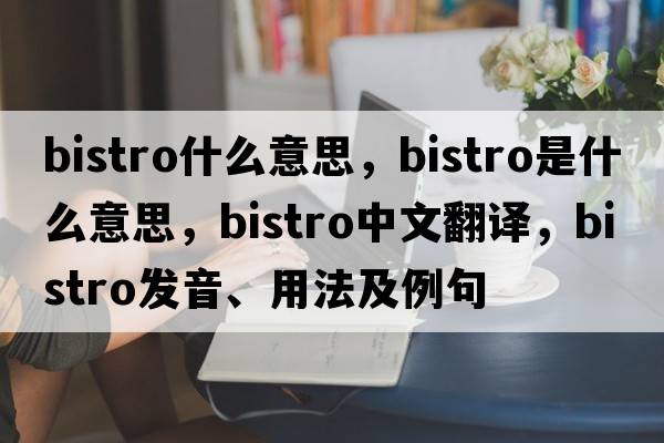 bistro什么意思，bistro是什么意思，bistro中文翻譯，bistro發(fā)音、用法及例句