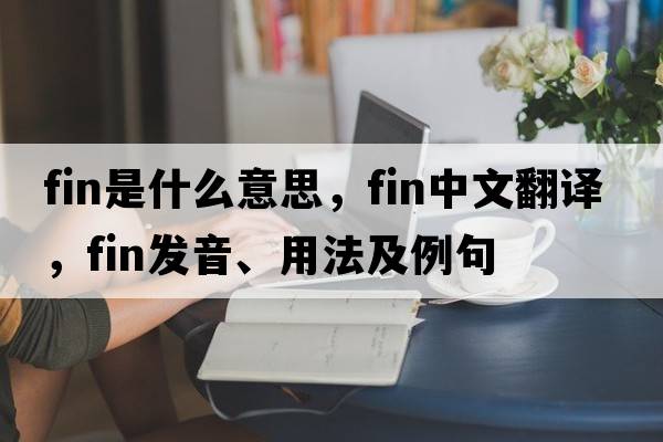 fin是什么意思，fin中文翻譯，fin發(fā)音、用法及例句