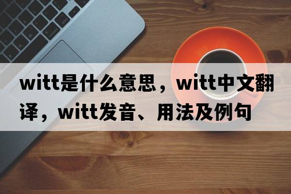 witt是什么意思，witt中文翻譯，witt發(fā)音、用法及例句