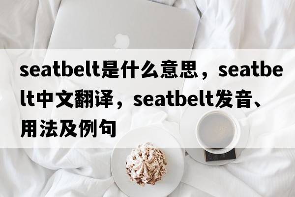 seatbelt是什么意思，seatbelt中文翻譯，seatbelt發(fā)音、用法及例句