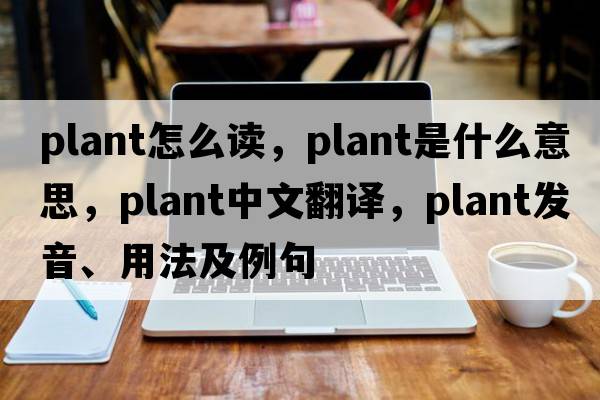 plant怎么讀，plant是什么意思，plant中文翻譯，plant發(fā)音、用法及例句