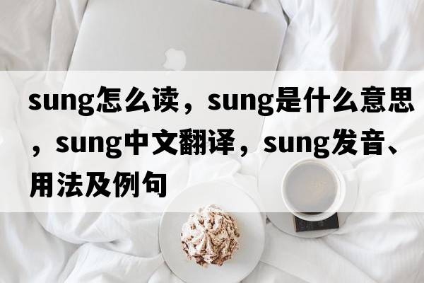 sung怎么讀，sung是什么意思，sung中文翻譯，sung發(fā)音、用法及例句