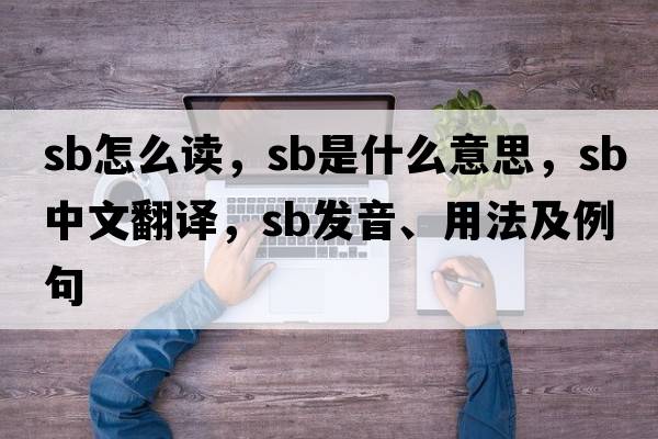 sb怎么讀，SB是什么意思，SB中文翻譯，SB發(fā)音、用法及例句
