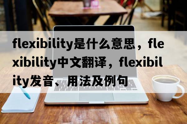 flexibility是什么意思，flexibility中文翻譯，flexibility發(fā)音、用法及例句
