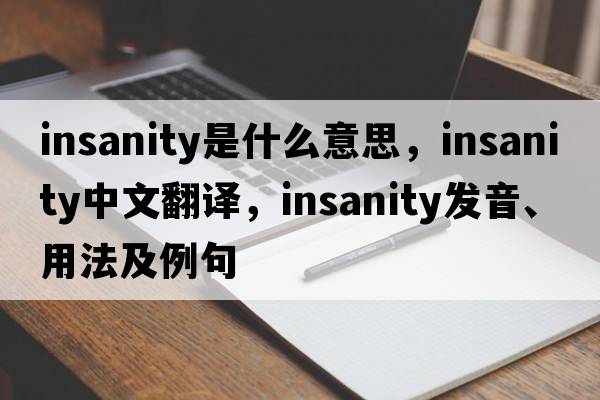 insanity是什么意思，insanity中文翻譯，insanity發(fā)音、用法及例句