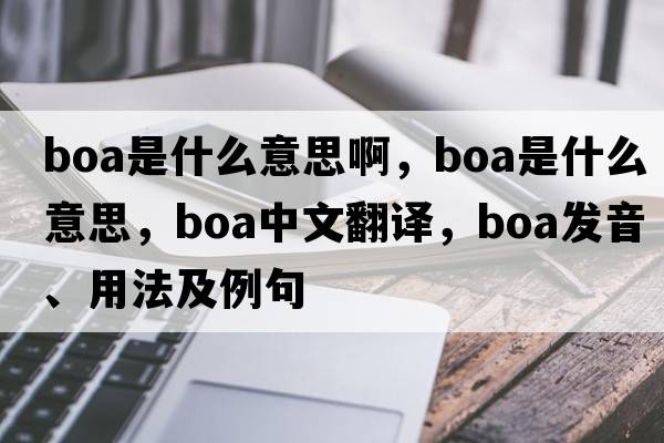 boa是什么意思啊，boa是什么意思，boa中文翻譯，boa發(fā)音、用法及例句