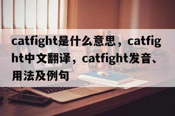 catfight是什么意思，catfight中文翻譯，catfight發(fā)音、用法及例句