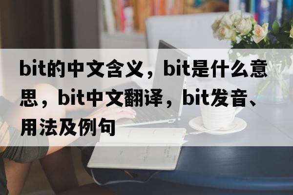 bit的中文含義，bit是什么意思，bit中文翻譯，bit發(fā)音、用法及例句