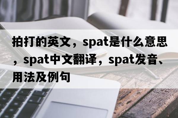 拍打的英文，spat是什么意思，spat中文翻譯，spat發(fā)音、用法及例句