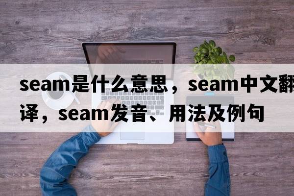 seam是什么意思，seam中文翻譯，seam發(fā)音、用法及例句