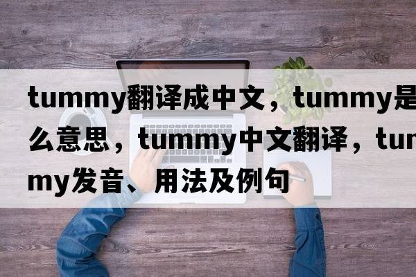 tummy翻譯成中文，tummy是什么意思，tummy中文翻譯，tummy發(fā)音、用法及例句