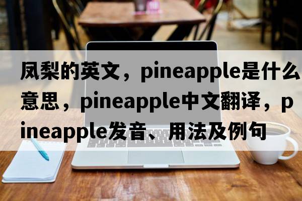 鳳梨的英文，pineapple是什么意思，pineapple中文翻譯，pineapple發(fā)音、用法及例句