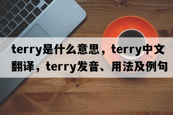 terry是什么意思，terry中文翻譯，terry發(fā)音、用法及例句