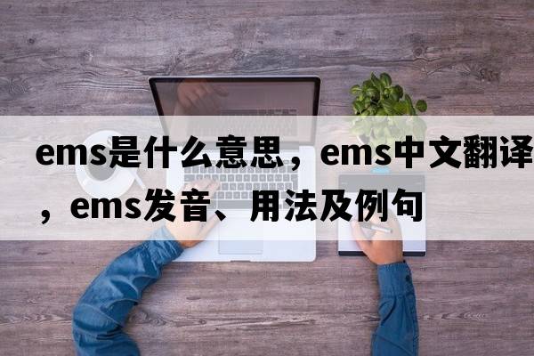 EMS是什么意思，EMS中文翻譯，EMS發(fā)音、用法及例句