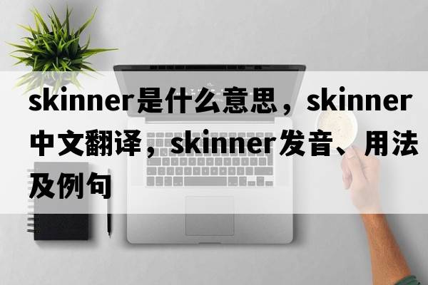skinner是什么意思，skinner中文翻譯，skinner發(fā)音、用法及例句