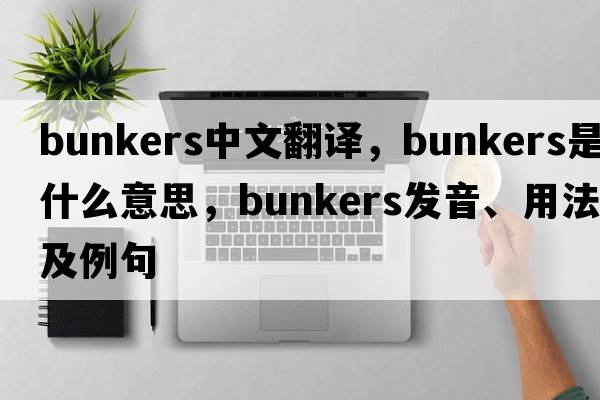 bunkers中文翻譯，bunkers是什么意思，bunkers發(fā)音、用法及例句