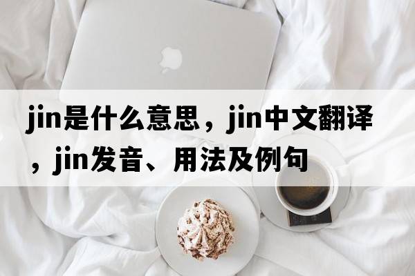 jin是什么意思，jin中文翻譯，jin發(fā)音、用法及例句