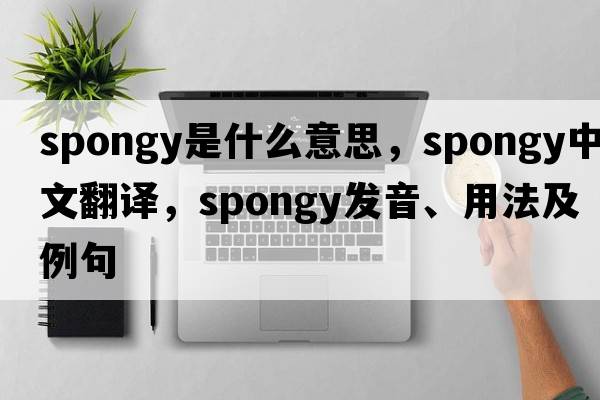 spongy是什么意思，spongy中文翻譯，spongy發(fā)音、用法及例句