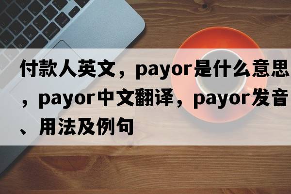 付款人英文，payor是什么意思，payor中文翻譯，payor發(fā)音、用法及例句