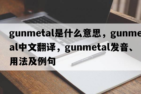 gunmetal是什么意思，gunmetal中文翻譯，gunmetal發(fā)音、用法及例句