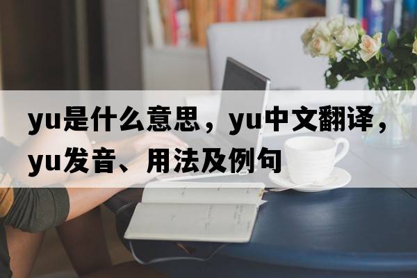 yu是什么意思，yu中文翻譯，yu發(fā)音、用法及例句