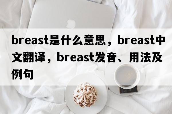 breast是什么意思，breast中文翻譯，breast發(fā)音、用法及例句