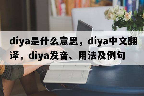 diya是什么意思，diya中文翻譯，diya發(fā)音、用法及例句