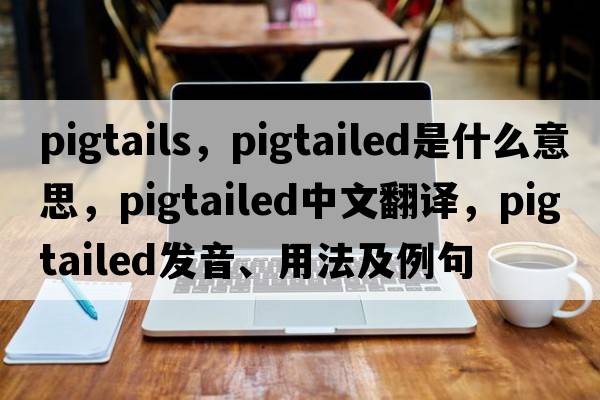 pigtails，pigtailed是什么意思，pigtailed中文翻譯，pigtailed發(fā)音、用法及例句