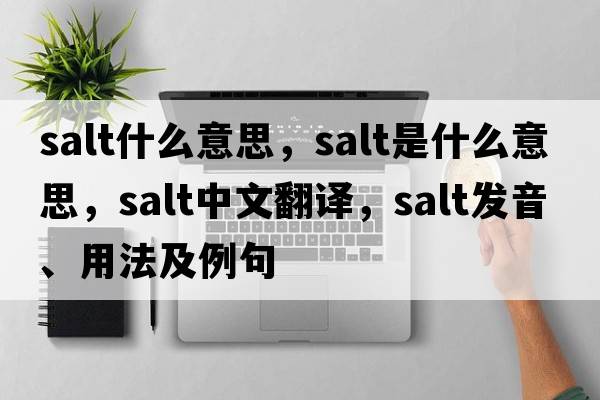 salt什么意思，salt是什么意思，salt中文翻譯，salt發(fā)音、用法及例句
