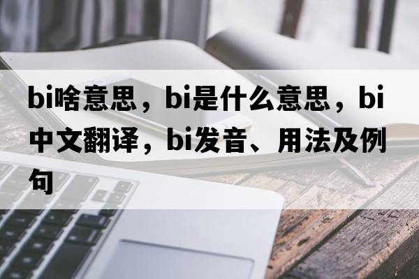 bi啥意思，BI是什么意思，BI中文翻譯，BI發(fā)音、用法及例句