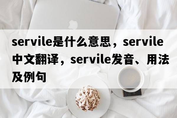 servile是什么意思，servile中文翻譯，servile發(fā)音、用法及例句