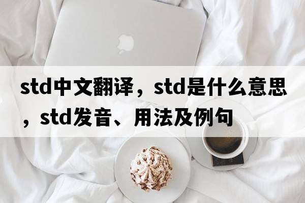 std中文翻譯，std是什么意思，std發(fā)音、用法及例句