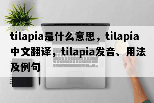 tilapia是什么意思，tilapia中文翻譯，tilapia發(fā)音、用法及例句
