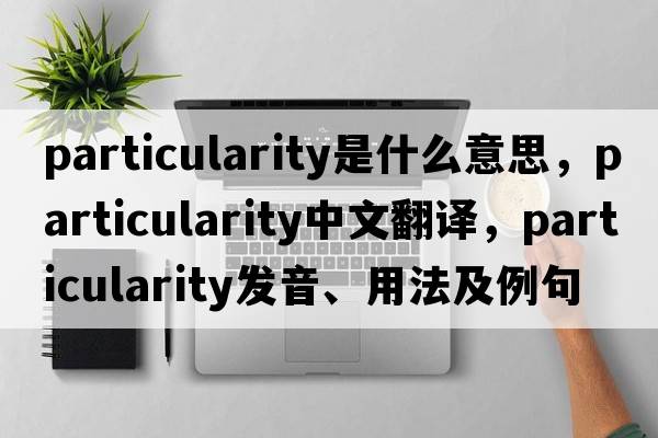 particularity是什么意思，particularity中文翻譯，particularity發(fā)音、用法及例句