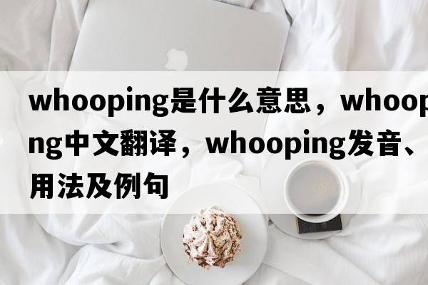 whooping是什么意思，whooping中文翻譯，whooping發(fā)音、用法及例句