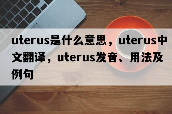 uterus是什么意思，uterus中文翻譯，uterus發(fā)音、用法及例句