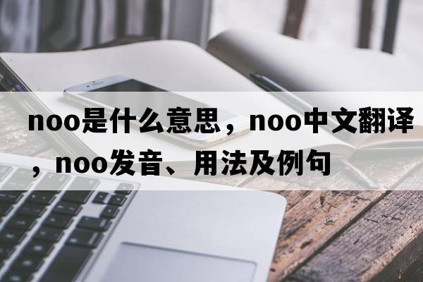 noo是什么意思，noo中文翻譯，noo發(fā)音、用法及例句