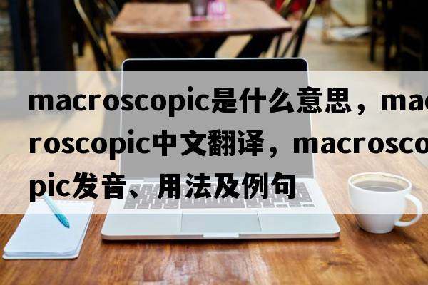 macroscopic是什么意思，macroscopic中文翻譯，macroscopic發(fā)音、用法及例句