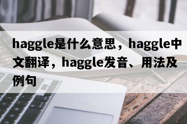 haggle是什么意思，haggle中文翻譯，haggle發(fā)音、用法及例句