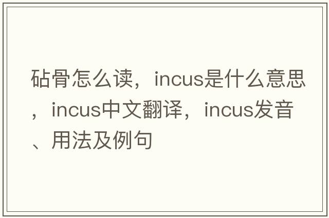 砧骨怎么讀，incus是什么意思，incus中文翻譯，incus發(fā)音、用法及例句
