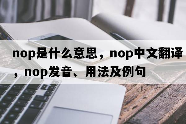 nop是什么意思，nop中文翻譯，nop發(fā)音、用法及例句