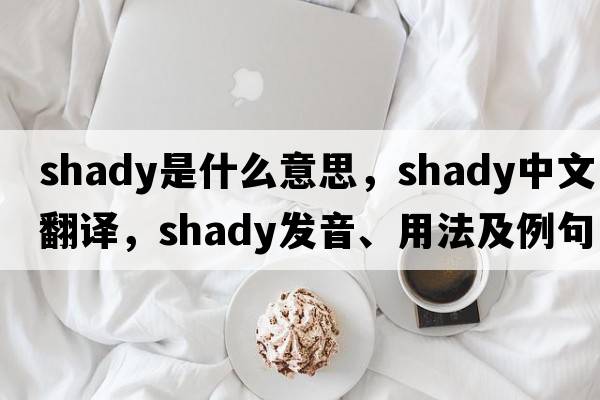 shady是什么意思，shady中文翻譯，shady發(fā)音、用法及例句