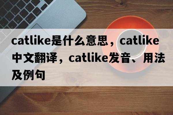 catlike是什么意思，catlike中文翻譯，catlike發(fā)音、用法及例句