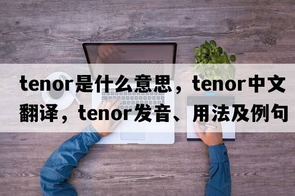 tenor是什么意思，tenor中文翻譯，tenor發(fā)音、用法及例句