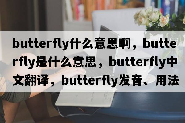 butterfly什么意思啊，butterfly是什么意思，butterfly中文翻譯，butterfly發(fā)音、用法及例句