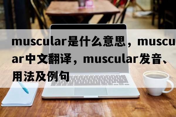 muscular是什么意思，muscular中文翻譯，muscular發(fā)音、用法及例句